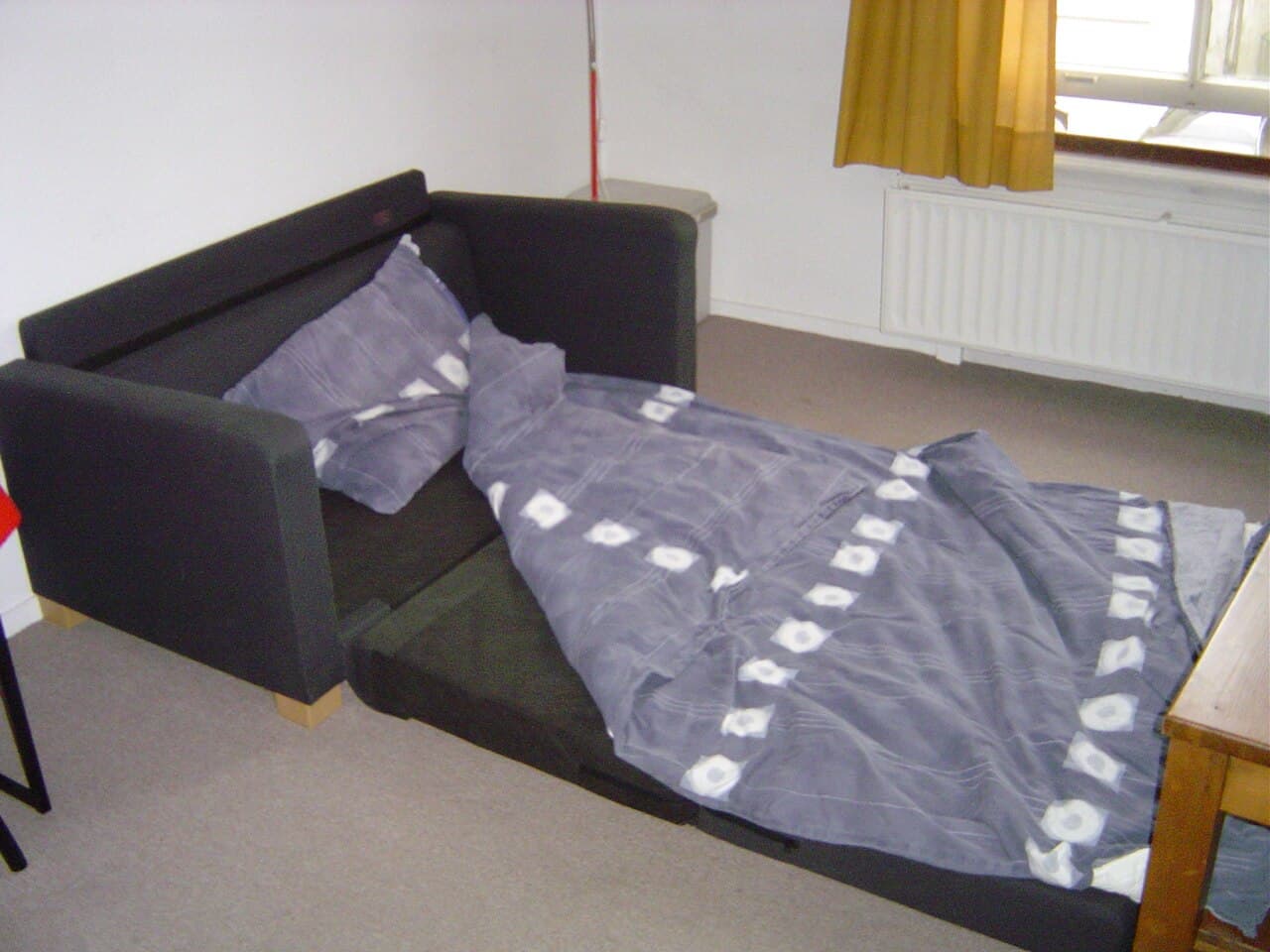 Sleeper Sofa Sectional