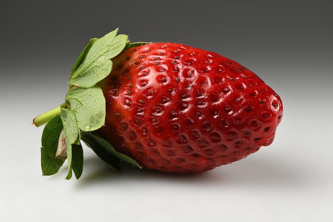 Strawberry: The Backyard Berry That Earns Every Square Foot
