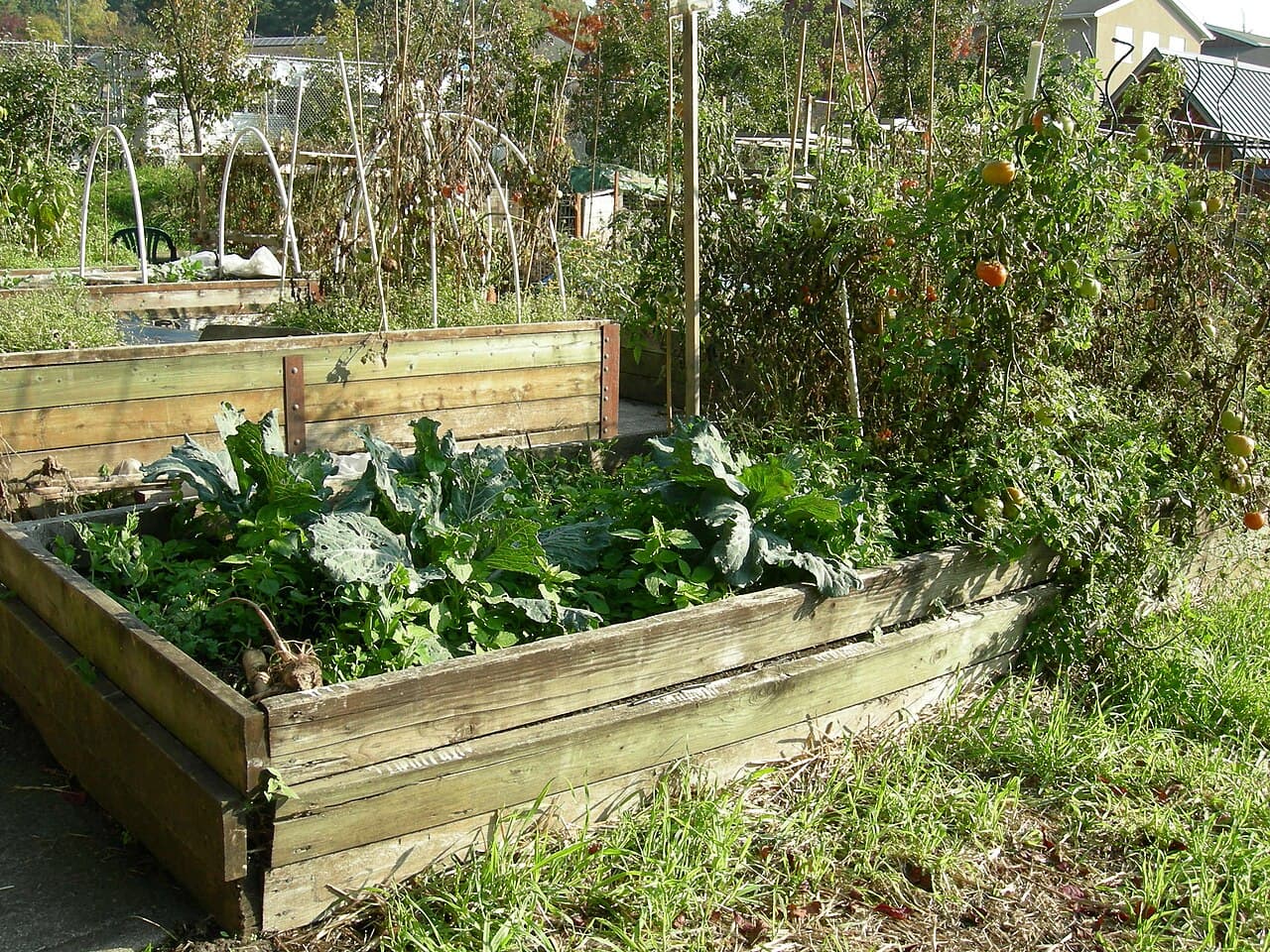 Cover a Raised Garden Bed