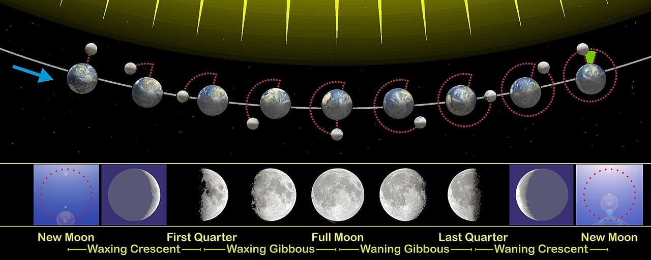 Moon Phases Of