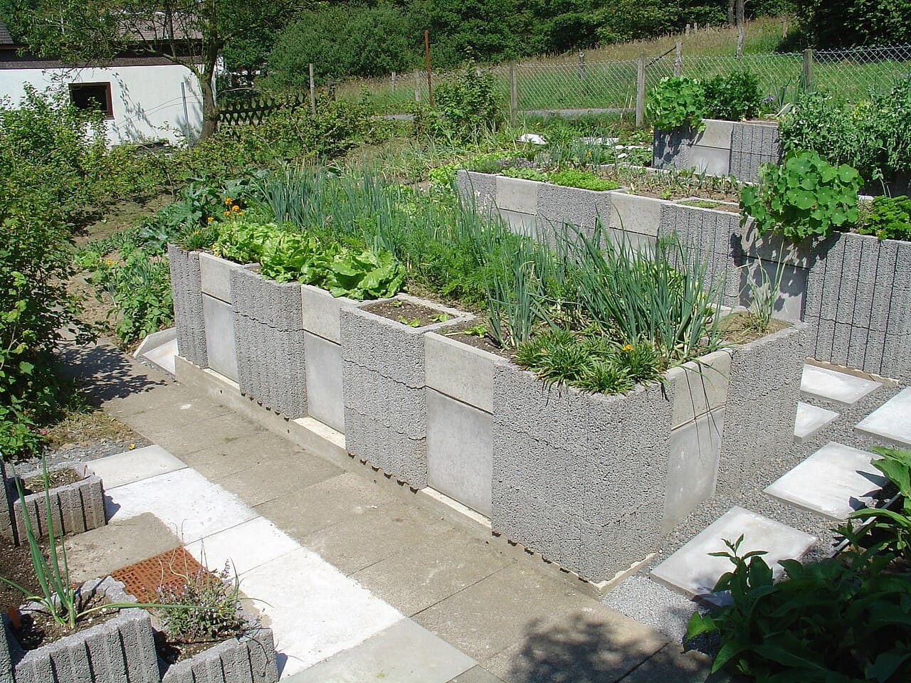 Raised Beds