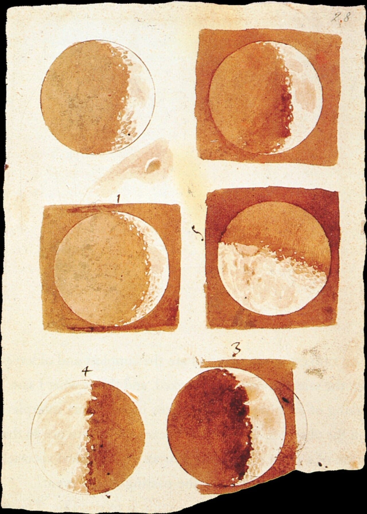 Moon Phase