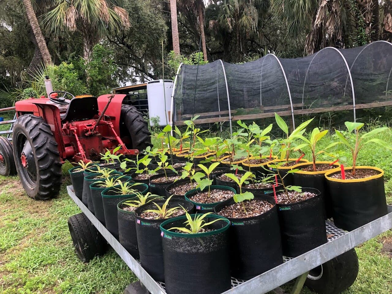 Grow Bags