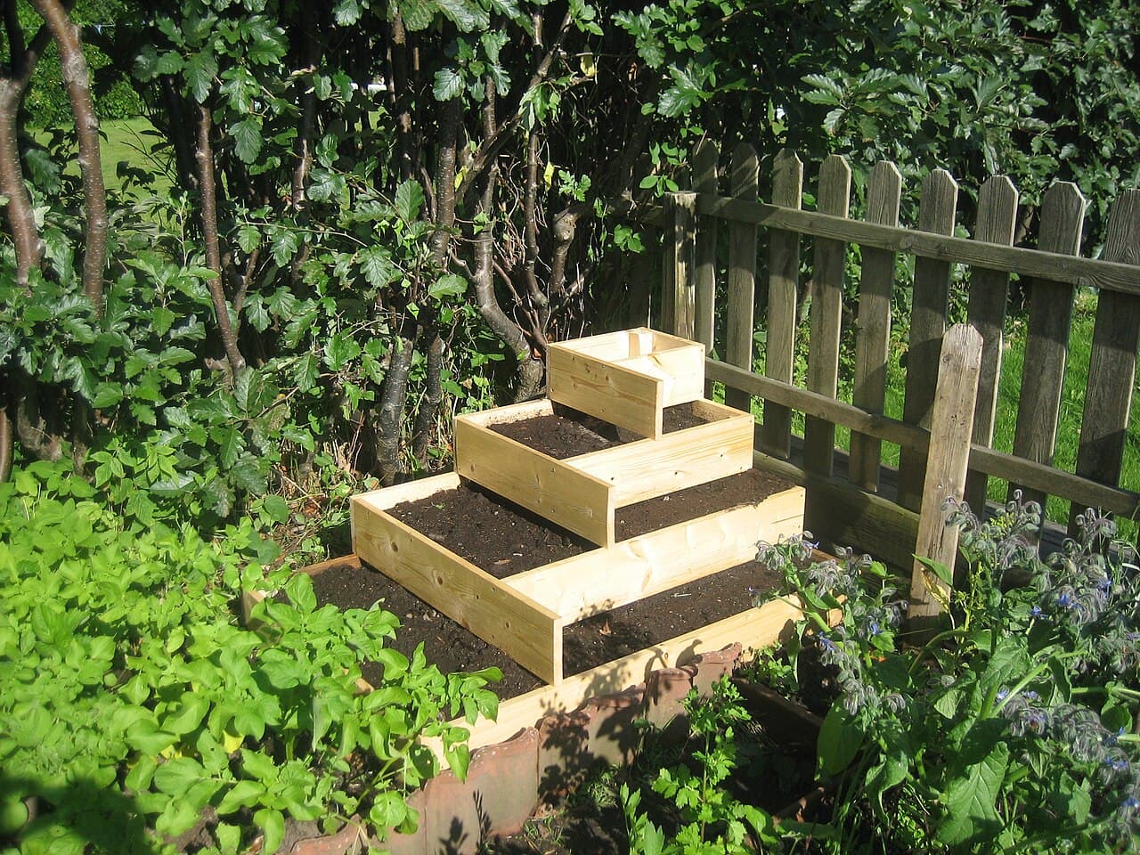 Raised Bed
