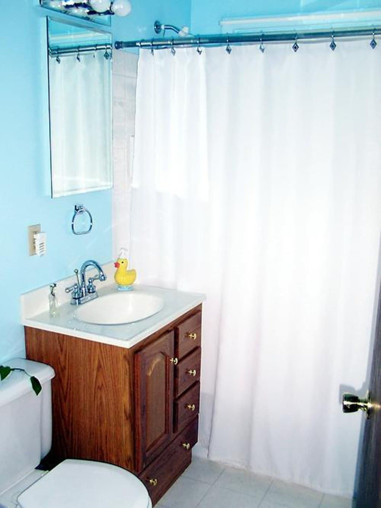 Shower Curtain