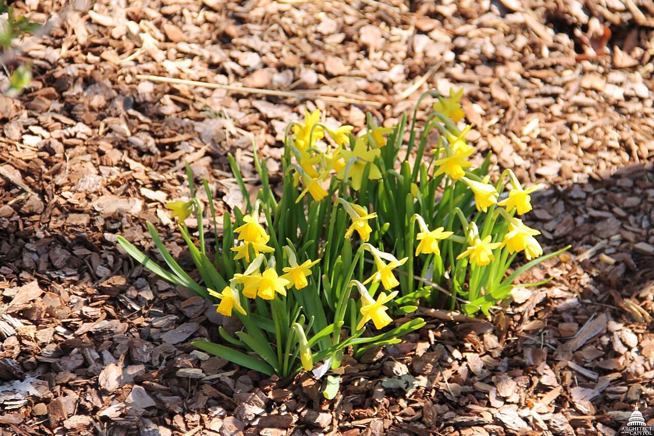 When Is the First Day of Spring