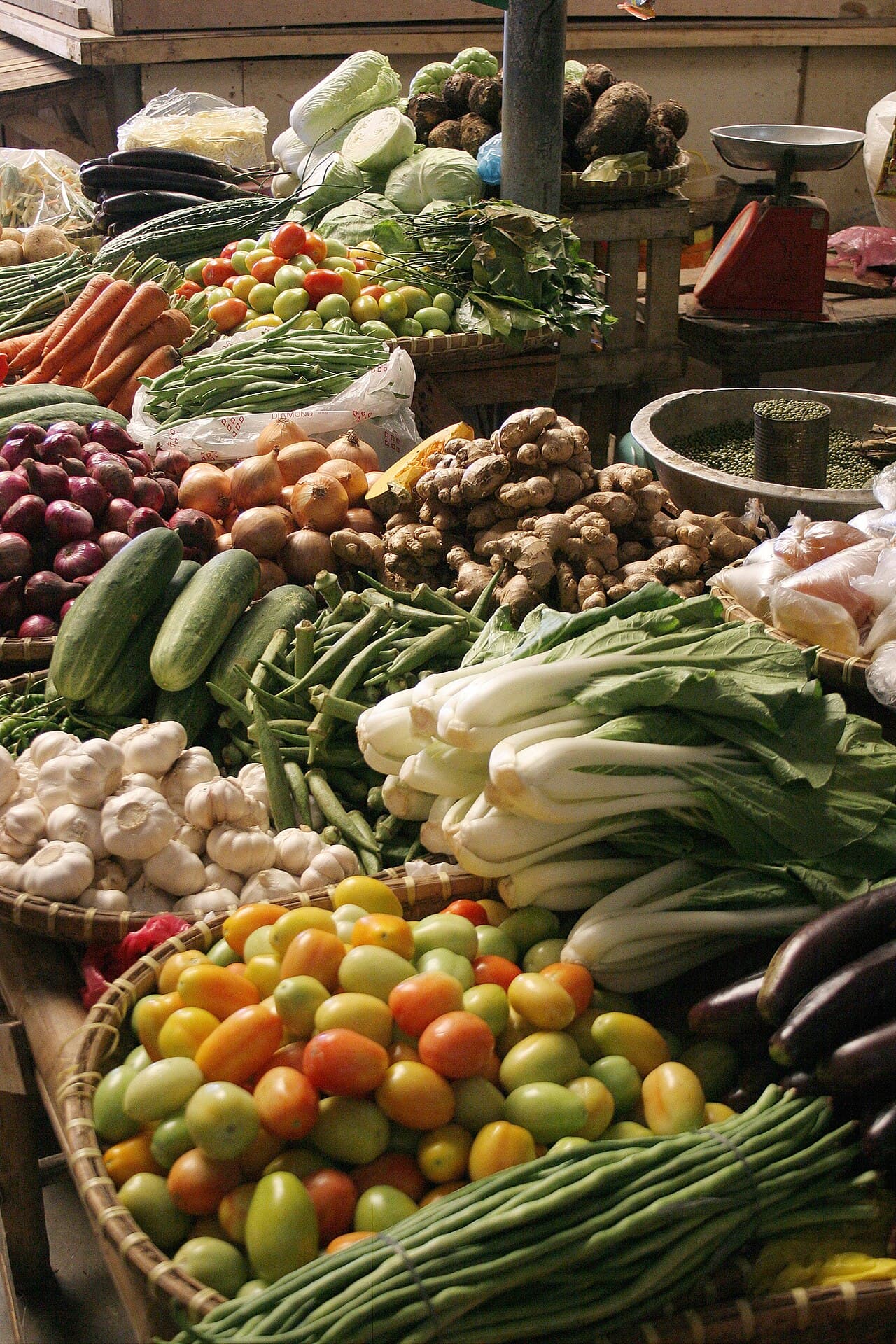 Vegetables: 15 Beginner-Friendly Crops That Pay Back Fast