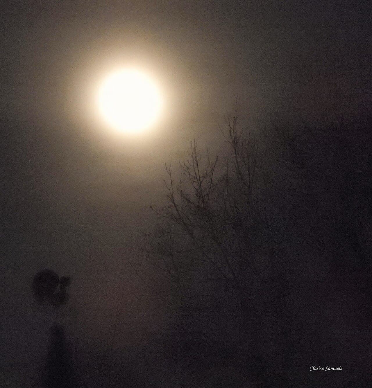 Wolf&moon