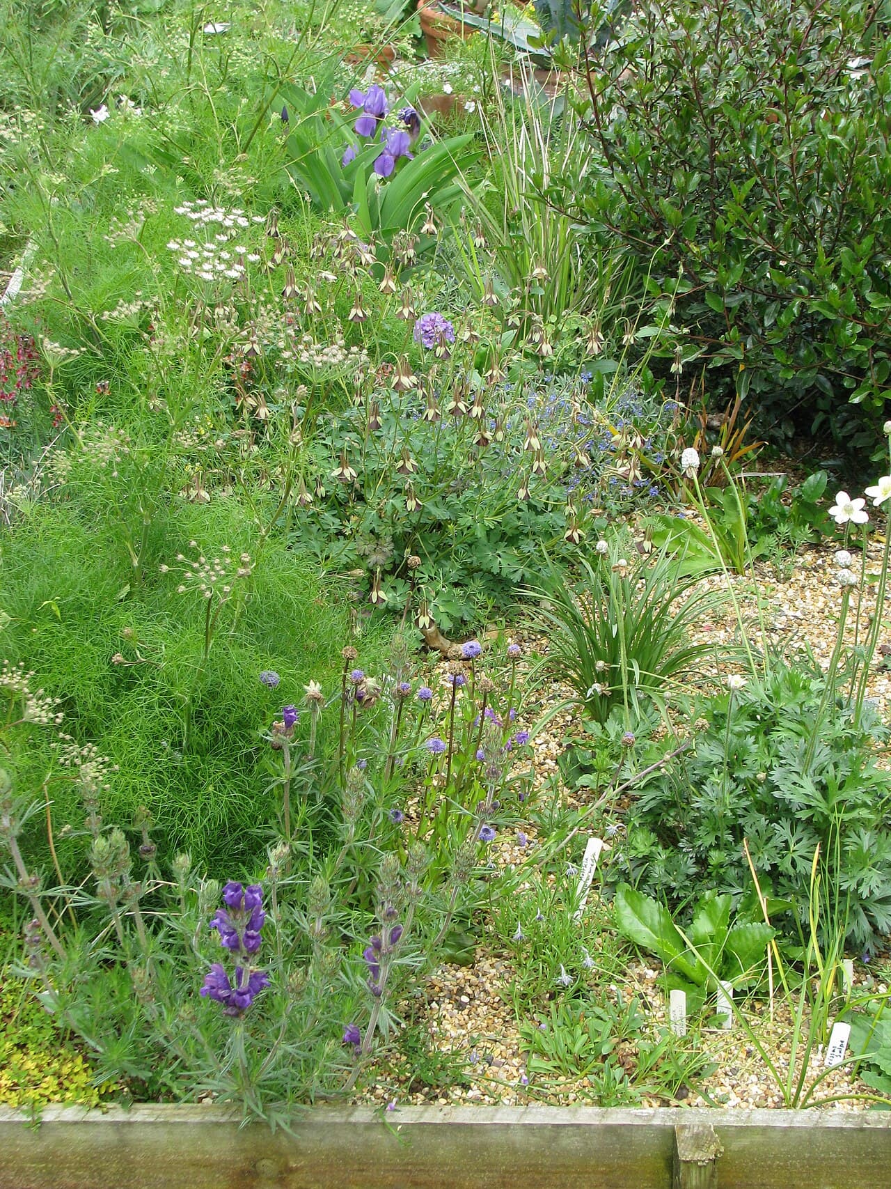 Raised Bed Kits
