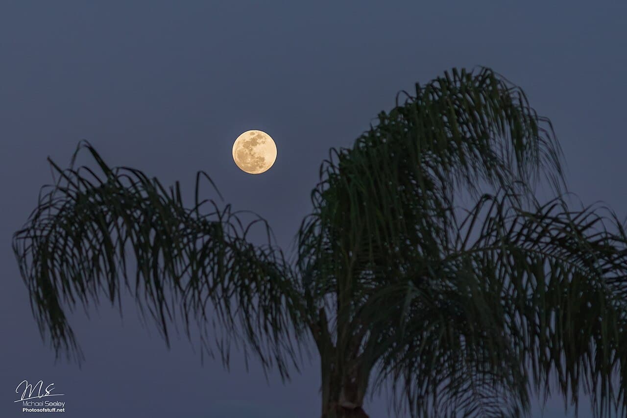 Is There a Blood Moon Tonight
