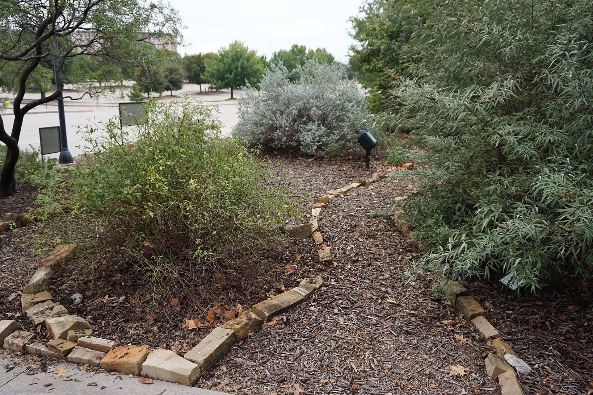 22 Drought-Tolerant Plants That Thrive on Neglect